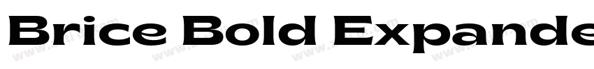 Brice Bold Expanded字体转换